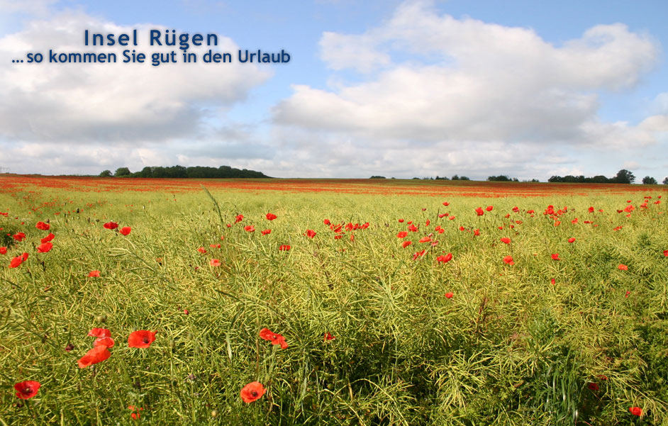 Binz Insel R&uuml;gen Urlaub in Deutschland